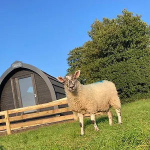Cow Pasture Pod Campsite Whitby